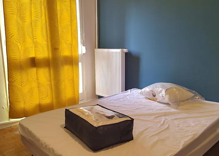 Chambre Dans Un Appartement En Colocation