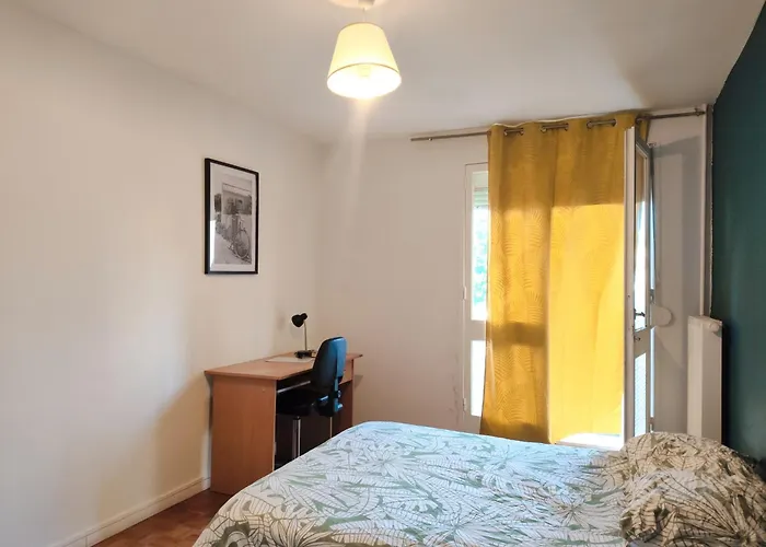 Chambre Dans Un Appartement En Colocation
